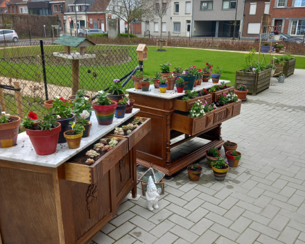 Album dagverzorgingscentrum